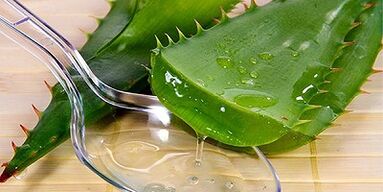 succo di aloe per il trattamento delle vene varicose sulle gambe
